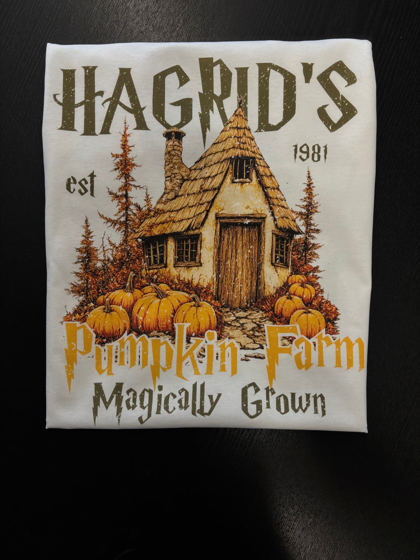 Hagrid's Pumpkin Farm